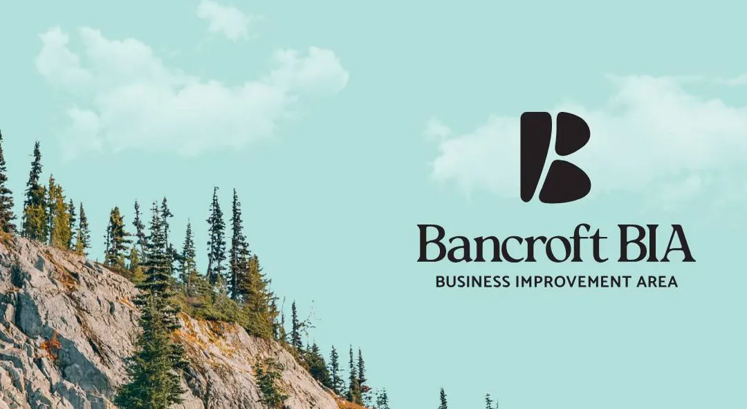 Article Header Image