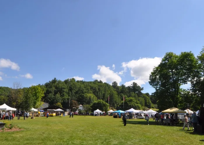 Green grass, several tent stalls, blue skies and trees in background