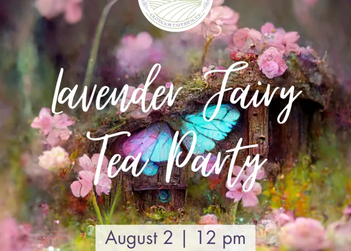 Event details in foreground, soft focus image of blue butterfly, pink flowers and grass in background