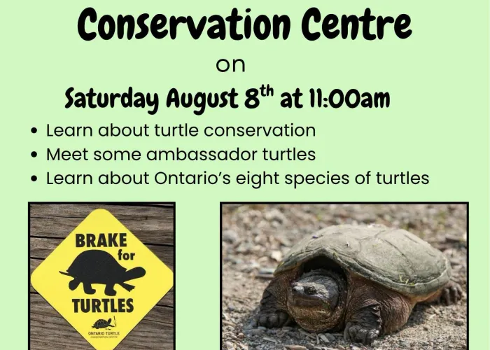 Green background, photo of turtle, photo of yellow brake for turtles sign, event details