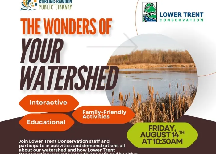 photo of lake surrounded by cattails and reeds, trees in background, white and brown background, orange and brown text providing event details